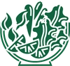 سالاد