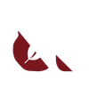 چای و دمنوش