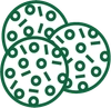 کوکی