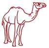 شتر و شتر مرغ