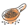بذرها