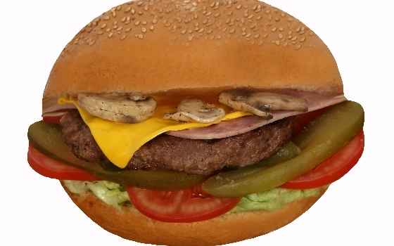 توژی برگر