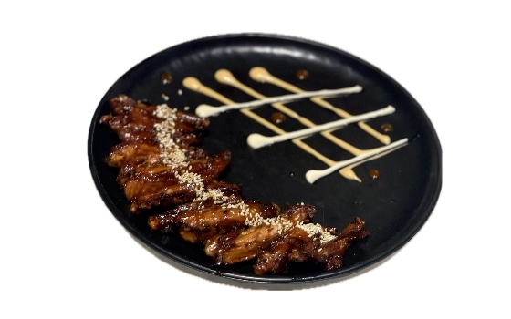 اسپایسی نانو وینگز