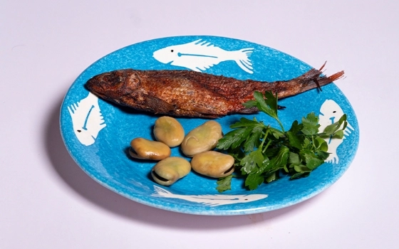 شورکولی