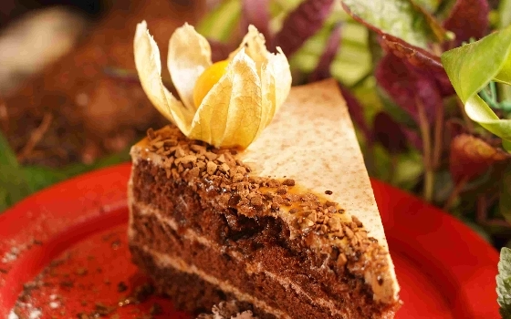 کیک روز