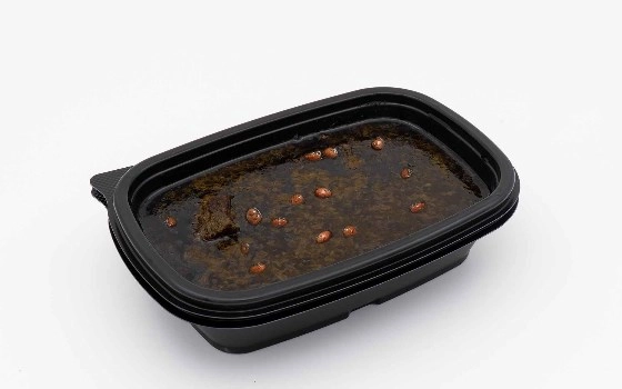 قرمه سبزی
