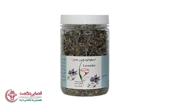 اسطو خودوس صحرا
