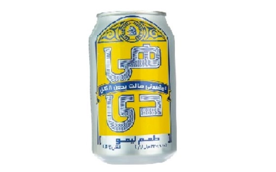دلستر
