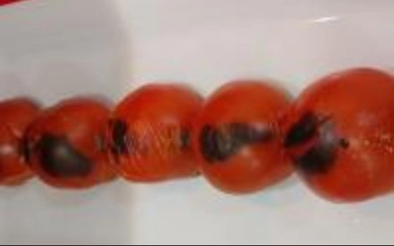 گوجه کبابی