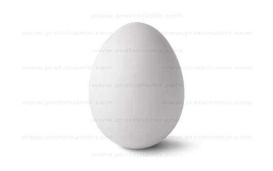 تخم مرغ 9 عدد