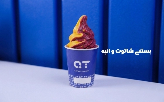 بستنی انبه و شاتوت وگان (لیوانی متوسط)