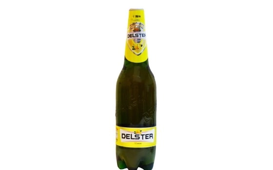 دلستر خانواده