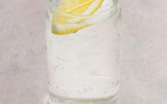 سودا ساده