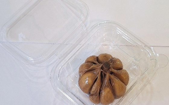 سیر ترشی