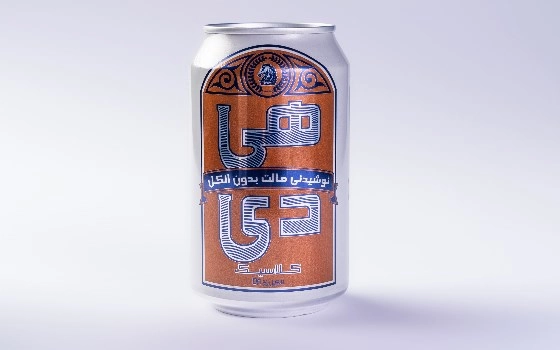 دلستر
