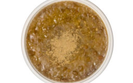 عدسی کیلیویی