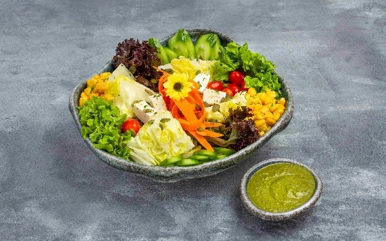 سالاد گاردن