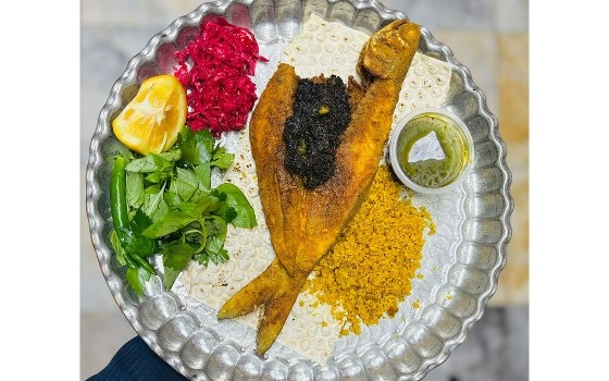خوراک ماهی راشگو