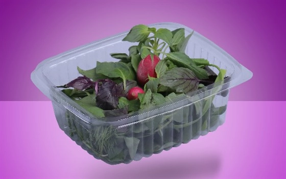 سبزی خوردن
