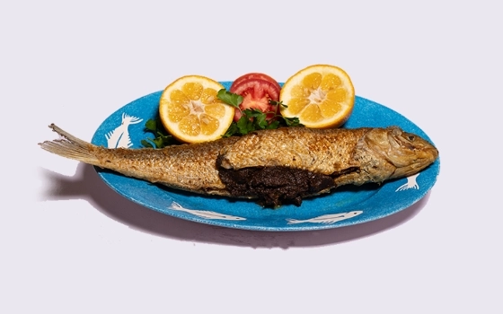 ماهی سفید شکم پر