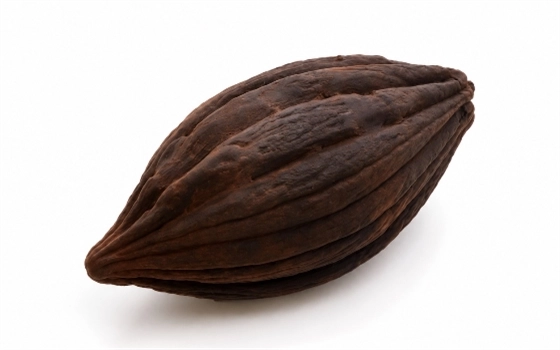 دونه کاکائو
