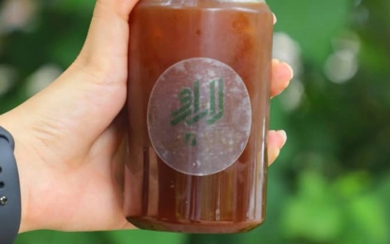 آیس دمی