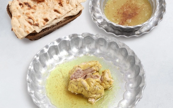 مغز