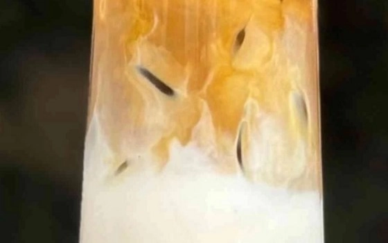آیس لاته نارگیل