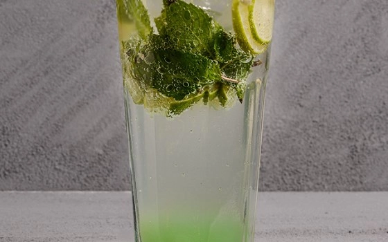 موهیتو