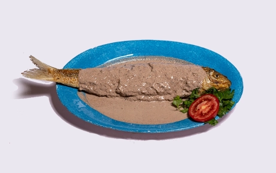 ماهی مالاتا