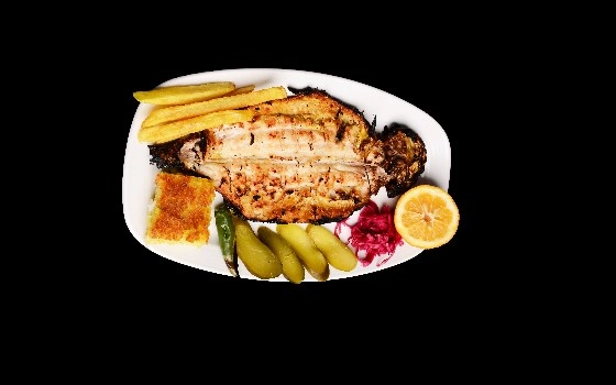 خوراک ماهی قزل آلا