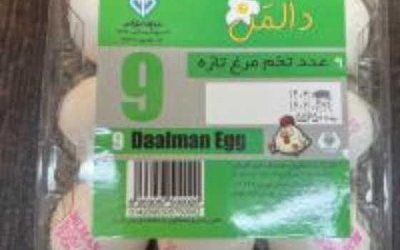تخم مرغ دالمن ۱۲ عدد