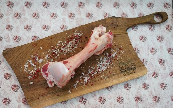 قلم گوسفندی
