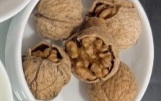 گردو