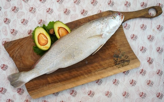 شوریده