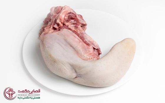 زبان گوساله دو کیلویی
