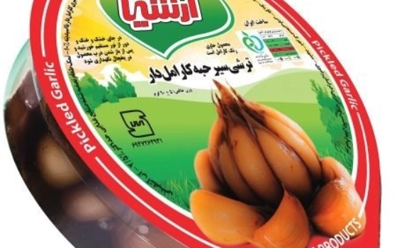 سیر ترشی