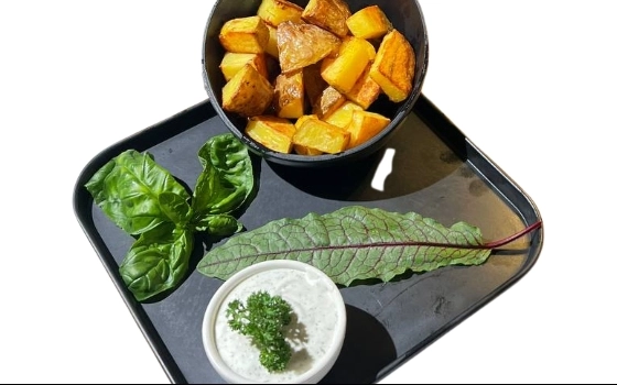سیب ساده فرپز ( رژیمی )
