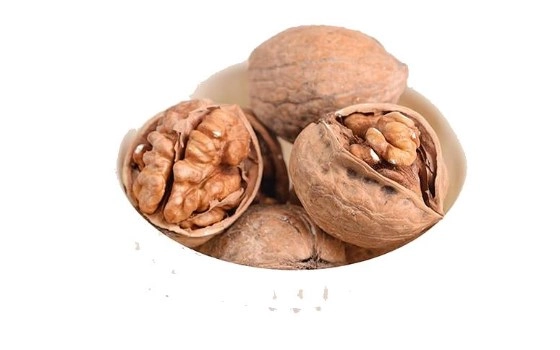 گردو