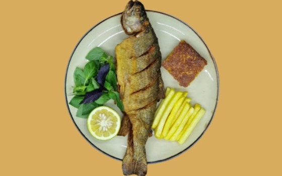 خوراک ماهی قزل آلا سرخ شده