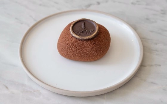 Chocolate Entremet