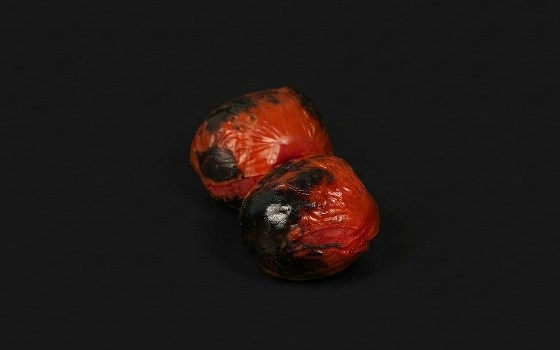 گوجه اضافه