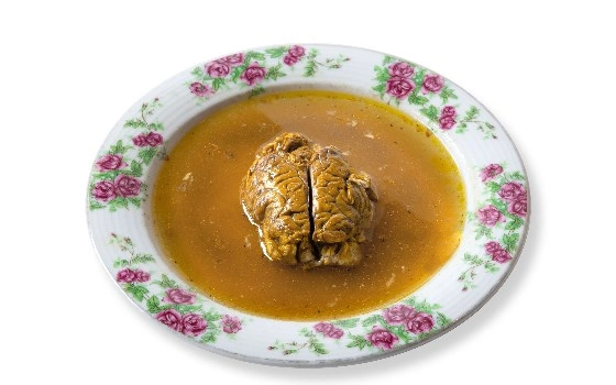 مغز