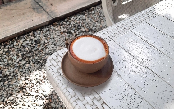 کورتادو