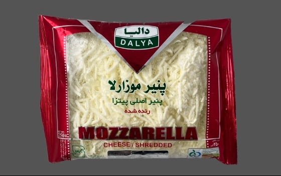 پنیر دالیا کم چرب بزرگ 500گرم