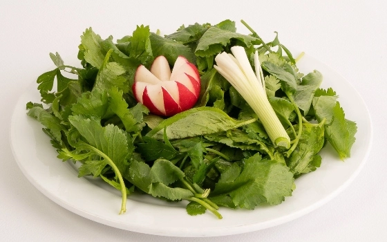 (سبزی خوردن)