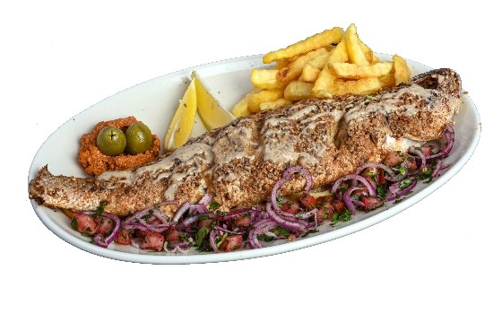 ماهی شوریده تنوری
