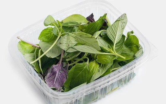 سبزی خوردن