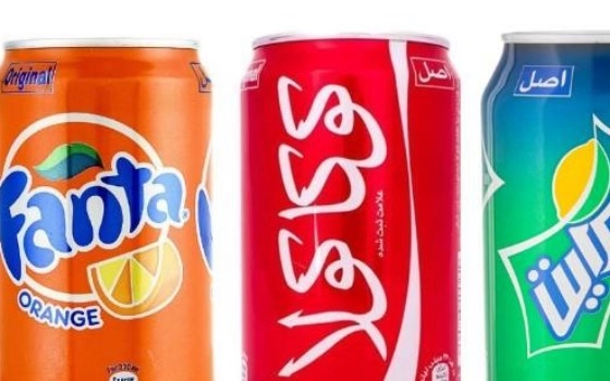 قوطی