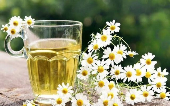 دمنوش بابونه